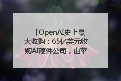 OpenAI史上最大收购：65亿美元收购AI硬件公司，由苹果前设计总监创办