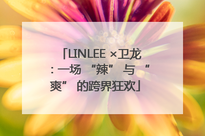 LINLEE ×卫龙：一场 “辣” 与 “爽” 的跨界狂欢