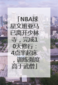 NBA球星文班亚马已离开少林寺，完成10天修行：4点半起床，训练强度高于武僧