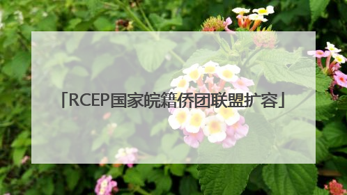 RCEP国家皖籍侨团联盟扩容