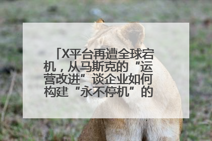 X平台再遭全球宕机，从马斯克的“运营改进”谈企业如何构建“永不停机”的数字护城河